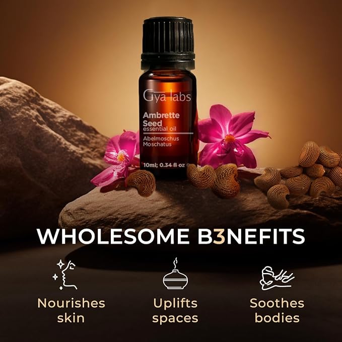 100% Pure Ambrette Seed Essential Oil - 0.34 Fl Oz - Ambrette Seed Oil for Hair, Skin, Diffuser, Aromatherapy & DIY Candle Making Scent