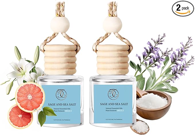 2Pack Sage and Sea Salt Scented Automotive Air Freshener Set, Car Accessories Decoration Hanging Scented Car Diffuser for Men Women Best Gifts