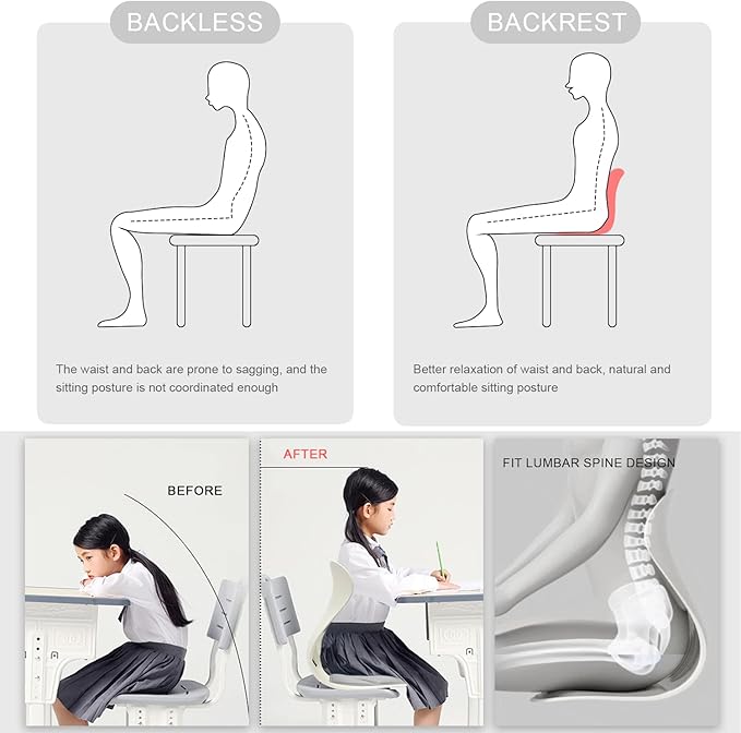 Posture Support Cushion - Lumbar & Back Support for Office Chair, Car Seat, Sofa, Ergonomic Chair & Back Cushion Back Support (02)