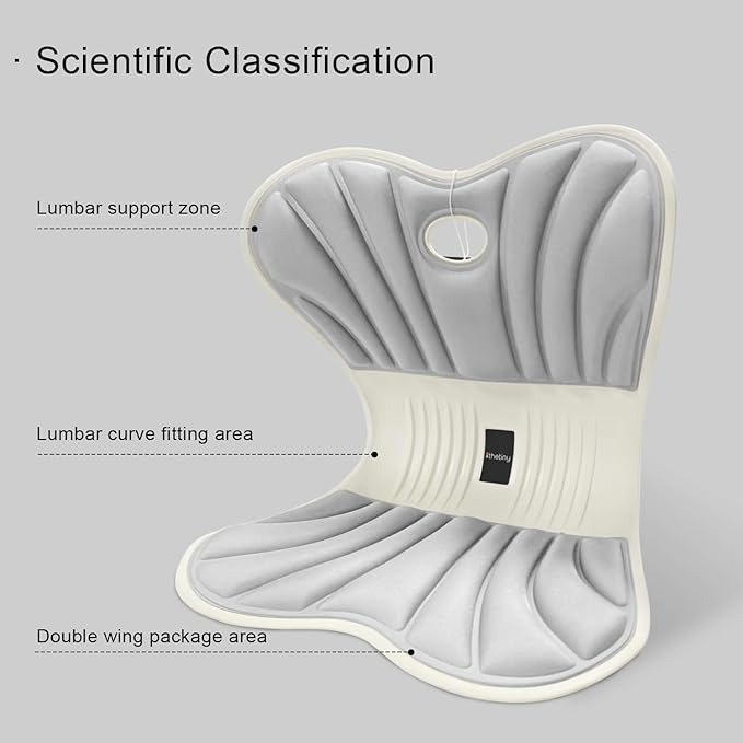 Posture Support Cushion - Lumbar & Back Support for Office Chair, Car Seat, Sofa, Ergonomic Chair & Back Cushion Back Support (02)