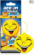 AREON ASD21 Air freshener Hanging New Car Scent, Best Odor Eliminator, Odd Gifts, Paper Hanging Ornaments, Long Lasting Scent -12 Pack