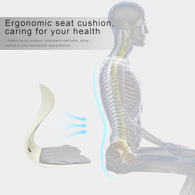 Posture Support Cushion - Lumbar & Back Support for Office Chair, Car Seat, Sofa, Ergonomic Chair & Back Cushion Back Support (02)