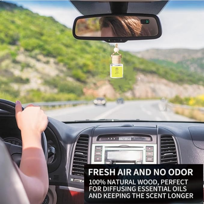 2Pack Lemon Scented Automotive Air Freshener Set,Car Accessories Decoration Hanging Scented Car Diffuser for Men Women Best Gifts