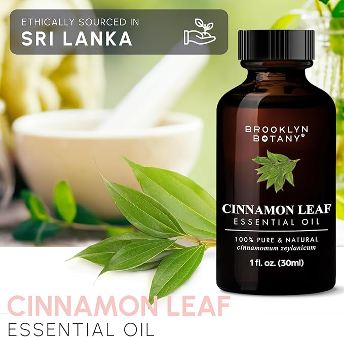 Brooklyn Botany Cinnamon Leaf Essential Oil - 100% Pure and Natural - Premium Grade Oil with Dropper - for Aromatherapy and Diffuser - 1 Fl Oz