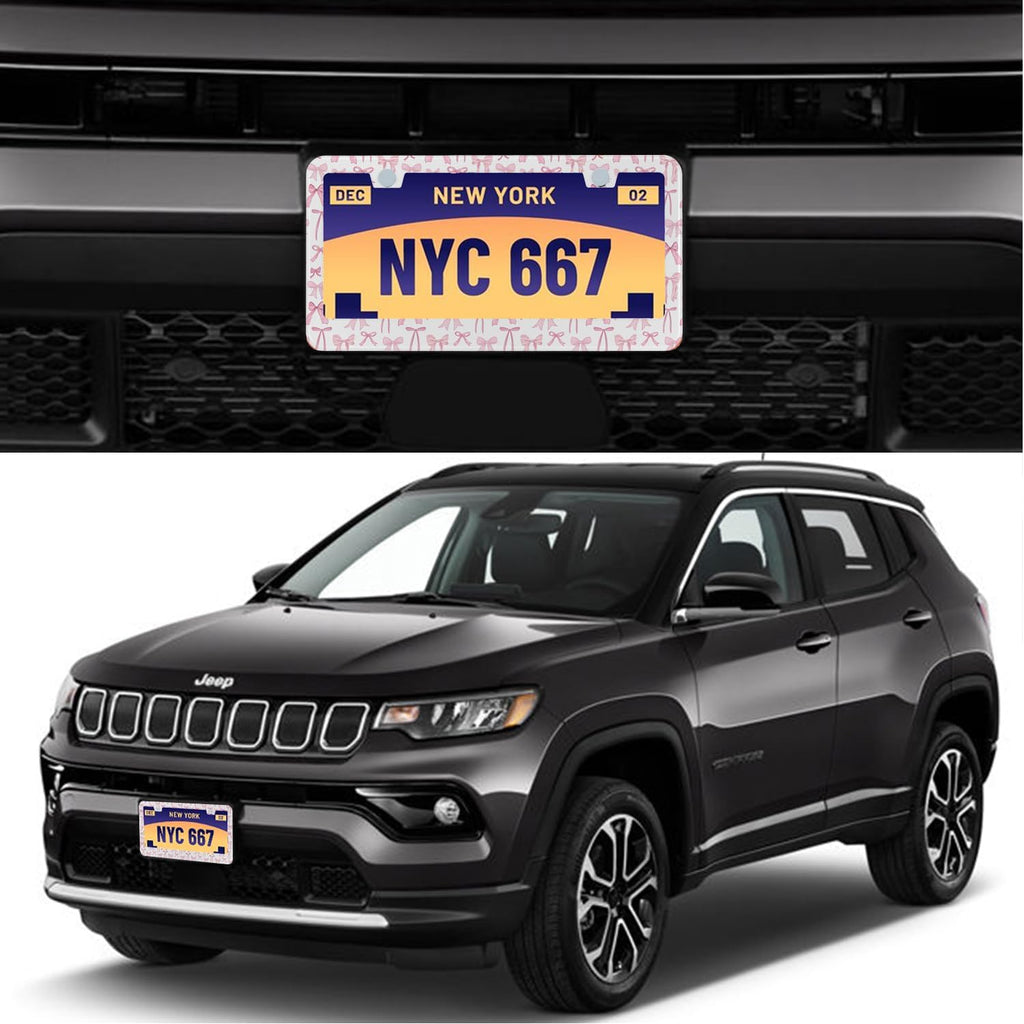 License Plate Frame for Pink Bow Stainless Steel License Plate Frames Holder Covers Rust-Proof Auto Parts Decoration with Screws License Plate Holder for Car Accessories 12x6 Inch