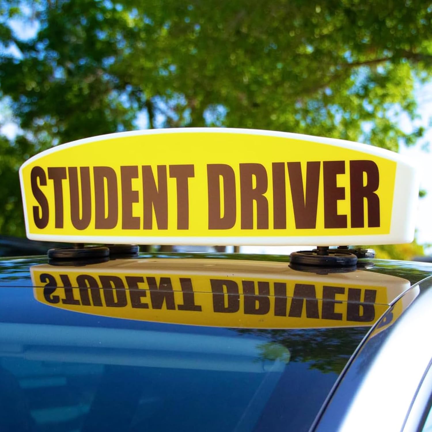 Student Driver Sign for Car Top - Weather-Resistant, Durable and Highly Visible Magnetic Student Driver Roof Signs for Driving School, With Strong Magnets for Attaching to the Vehicle