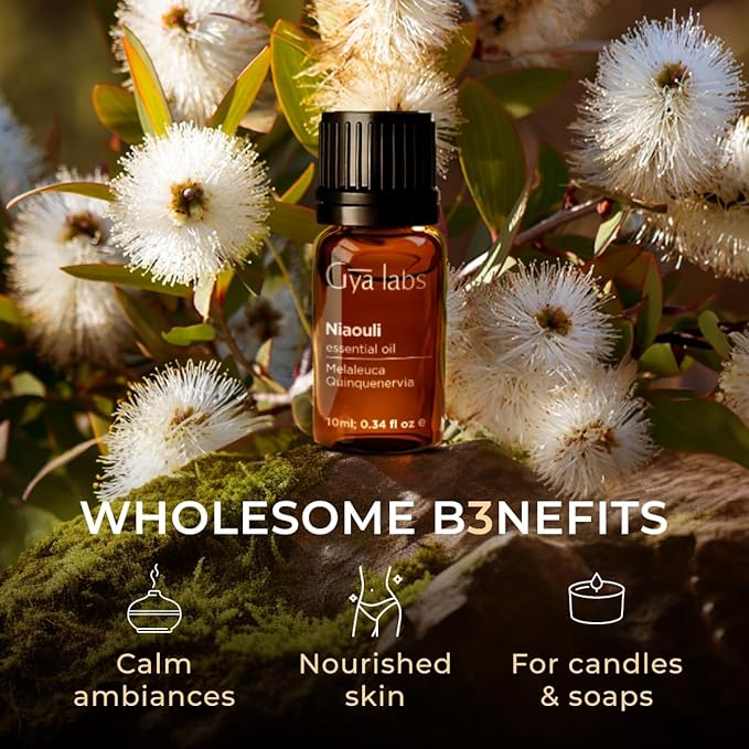 100% Pure Niaouli Essential Oil - 0.34 Fl Oz - Niaouli Oil for Hair, Skin, Diffuser, Aromatherapy & DIY Candle Making Scent