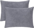 2 Pack Small Pillow, 16 X 12 Inches, Memory Foam Mini Pillow for Travel, Camping, Sleeping, Nap and Neck, Knee, Lumbar Support, Tiny Cushion for Pet, Dogs (Grey)