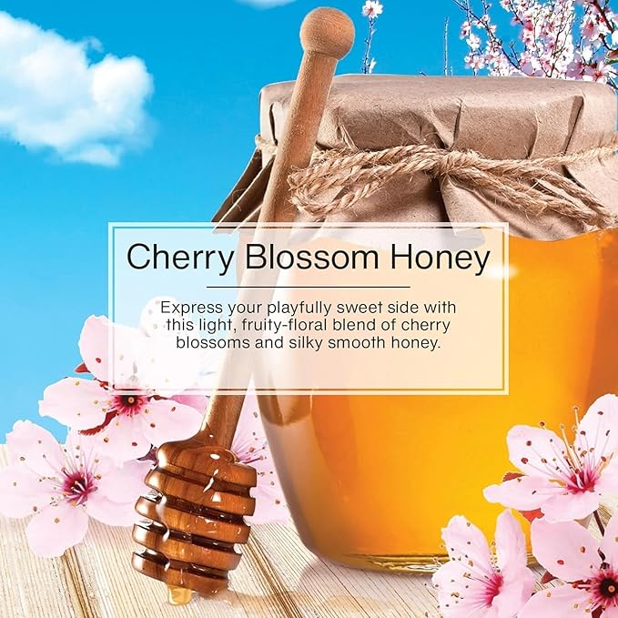 LITTLE TREES Car Air Freshener | Hanging Paper Tree for Home or Car | Cherry Blossom Honey | 12 Pack