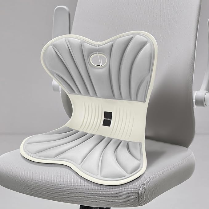 Posture Support Cushion - Lumbar & Back Support for Office Chair, Car Seat, Sofa, Ergonomic Chair & Back Cushion Back Support (02)