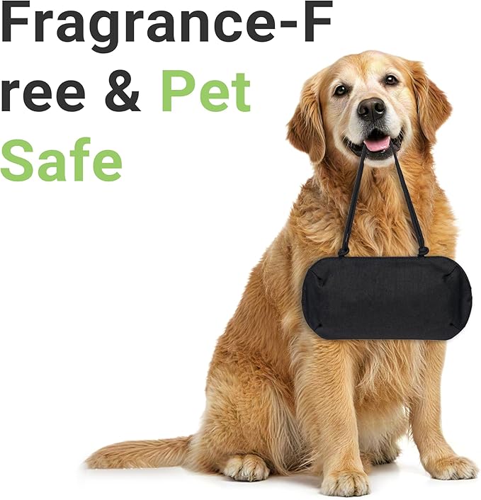 Yuoyar Bamboo Charcoal Air Purifying Bag, Activated Car Deodorizer for Odor Eliminator, Car Air Freshener (Medium)