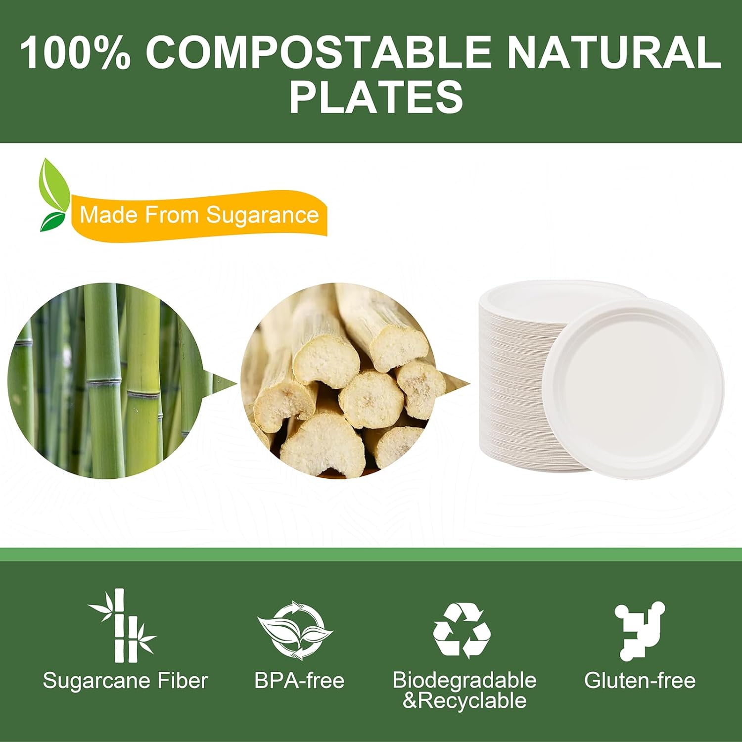 WELLIFE 100% Compostable Paper Plates 9 Inch, 125-Pack Heavy Duty Paper Plates Bulk,Biodegradable Bagasse,Eco-Friendly Disposable Dinner Plate for BBQ,Picnic,Party (BPI Certified,Microwaveable)