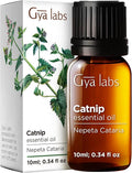 100% Pure Catnip Essential Oil - 0.34 Fl Oz - Catnip Oil for Hair, Skin, Diffuser, Aromatherapy & DIY Candle Making Scent
