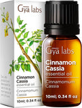 100% Pure Cinnamon Cassia Essential Oil - 0.34 Fl Oz - Cinnamon Cassia Oil for Hair, Skin, Diffuser, Aromatherapy & DIY Candle Making Scent
