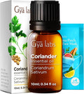 100% Pure Coriander Essential Oil - 0.34 Fl Oz - Coriander Oil for Hair, Skin, Diffuser, Aromatherapy & DIY Candle Making Scent