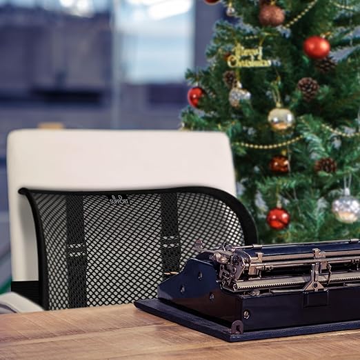 Lumbar Support - Breathable Mesh Office & Car Chair Back Support with Double Adjustable Straps for All-Day Comfort