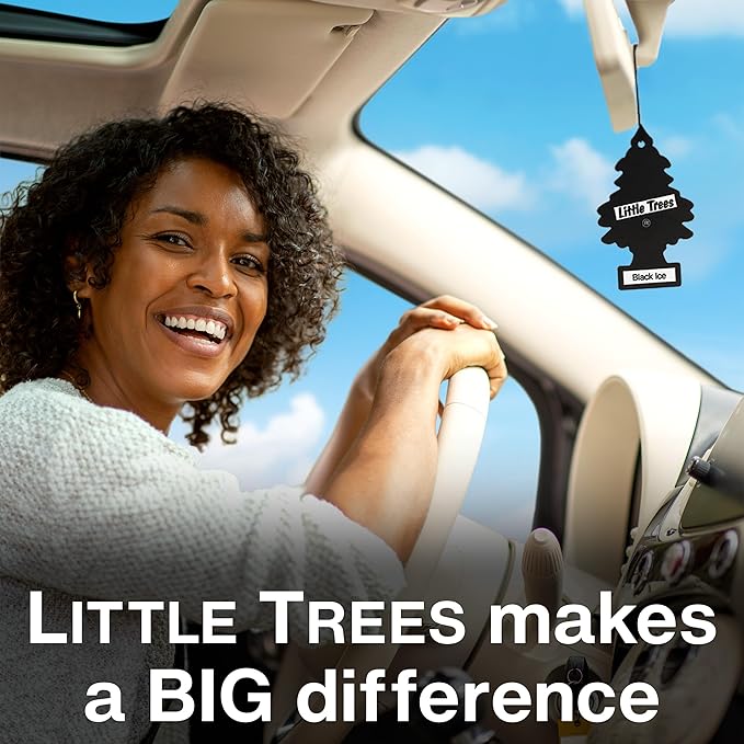LITTLE TREES Car Air Freshener | Hanging Tree Provides Long Lasting Scent for Auto and Home | Leather, 24 Air Fresheners