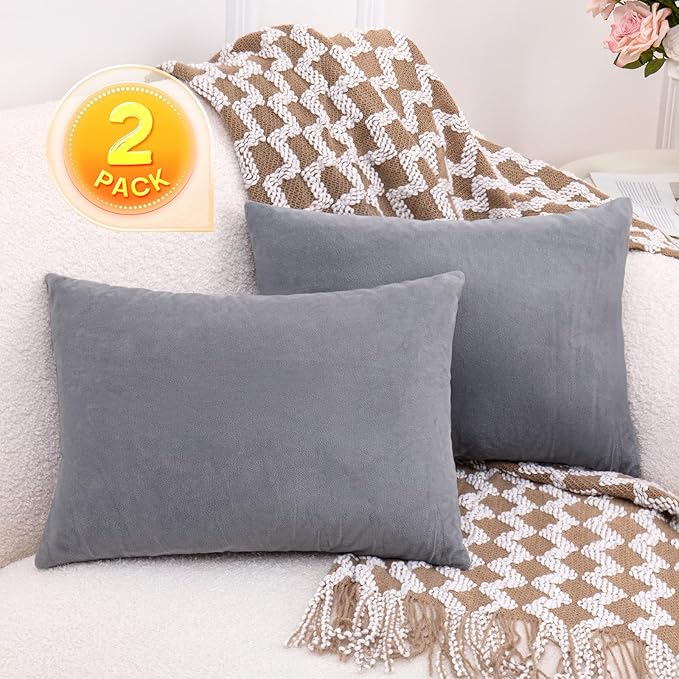 2 Pack Small Pillow, 16 X 12 Inches, Memory Foam Mini Pillow for Travel, Camping, Sleeping, Nap and Neck, Knee, Lumbar Support, Tiny Cushion for Pet, Dogs (Grey)