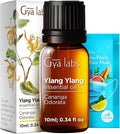 100% Pure Ylang-Ylang Essential Oil - 0.34 Fl Oz - Ylang-Ylang Oil for Hair, Skin, Diffuser, Aromatherapy & DIY Candle Making Scent