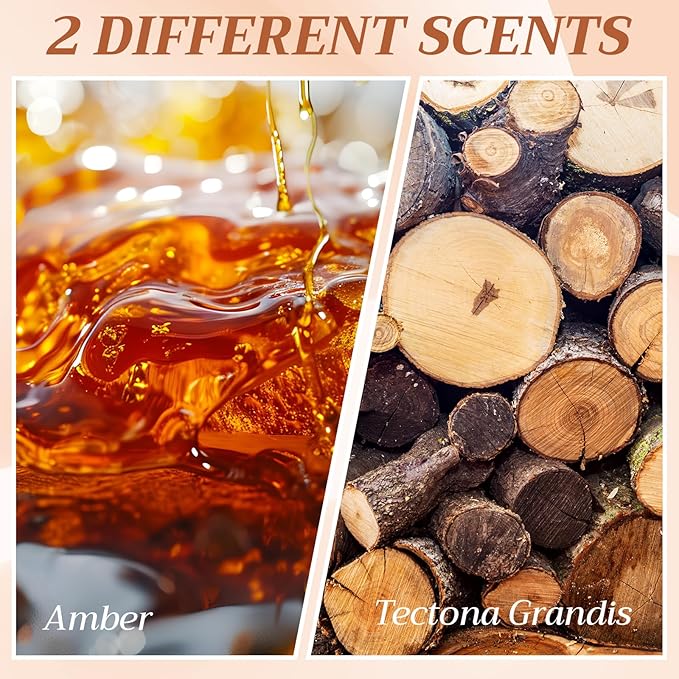 2 Pcs Car Air Freshener Set Stone Air Freshener Vehicle Scent Diffuser Car Odor Eliminator, 2 Long Lasting Scents Amber Tectona Grandis Refills, Metal Clip Included