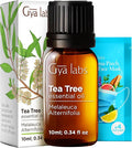 100% Pure Australian Tea Tree Essential Oil - 0.34 Fl Oz - Australian Tea Tree Oil for Hair, Skin, Diffuser, Aromatherapy & DIY Candle Making Scent