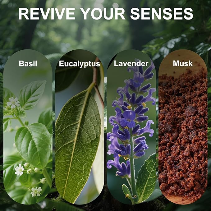 Car Air Freshener Diffuser Provence Lavender Scented 2 Pack, Car Fresheners Vent Clip Leather Design, Car Diffuser Flower Scented for 30 days Long Lasting Black