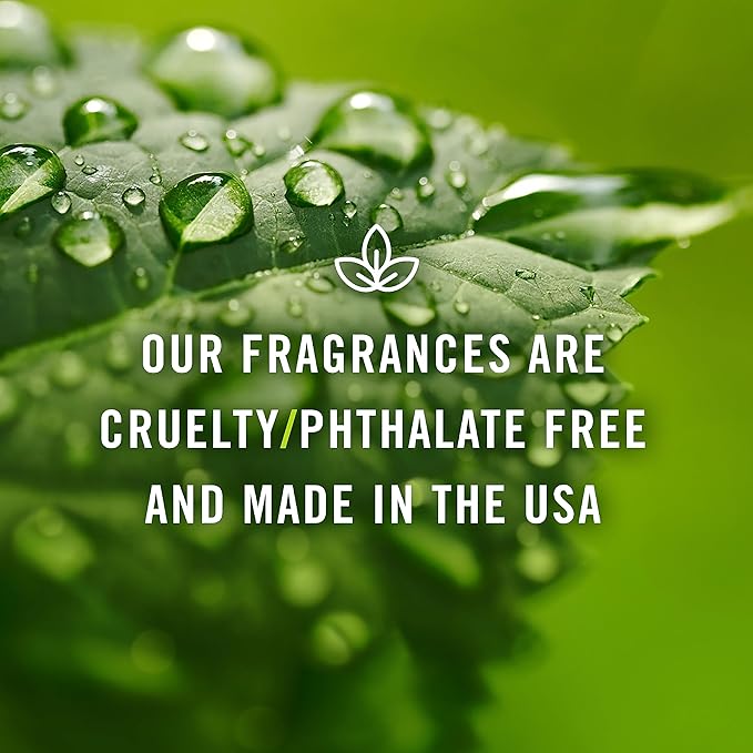 P&J Trading Fragrance Oils for Diffusers for Home Grandma's Kitchen Set Fragrance Scents for Candle Making - Soap Making - Car Diffuser Scents - Essential Home Gift Set - Apple Pie, Coffee Cake & More