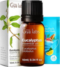 100% Pure Eucalyptus Essential Oil - 0.34 Fl Oz - Eucalyptus Oil for Hair, Skin, Diffuser, Aromatherapy & DIY Candle Making Scent