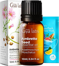 100% Pure Ambrette Seed Essential Oil - 0.34 Fl Oz - Ambrette Seed Oil for Hair, Skin, Diffuser, Aromatherapy & DIY Candle Making Scent