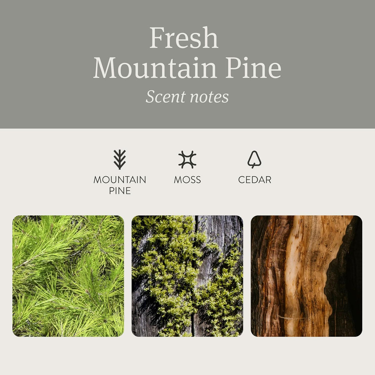 Drift Car Air Freshener - Stone Air Freshener - Car Odor Eliminator - Pine Scent Refill - NO CLIP INCLUDED