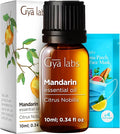 100% Pure Mandarin Essential Oil - 0.34 Fl Oz - Mandarin Oil for Hair, Skin, Diffuser, Aromatherapy & DIY Candle Making Scent