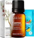 100% Pure Cypress Essential Oil - 0.34 Fl Oz - Cypress Oil for Hair, Skin, Diffuser, Aromatherapy & DIY Candle Making Scent